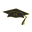 Collegiate Fits logo